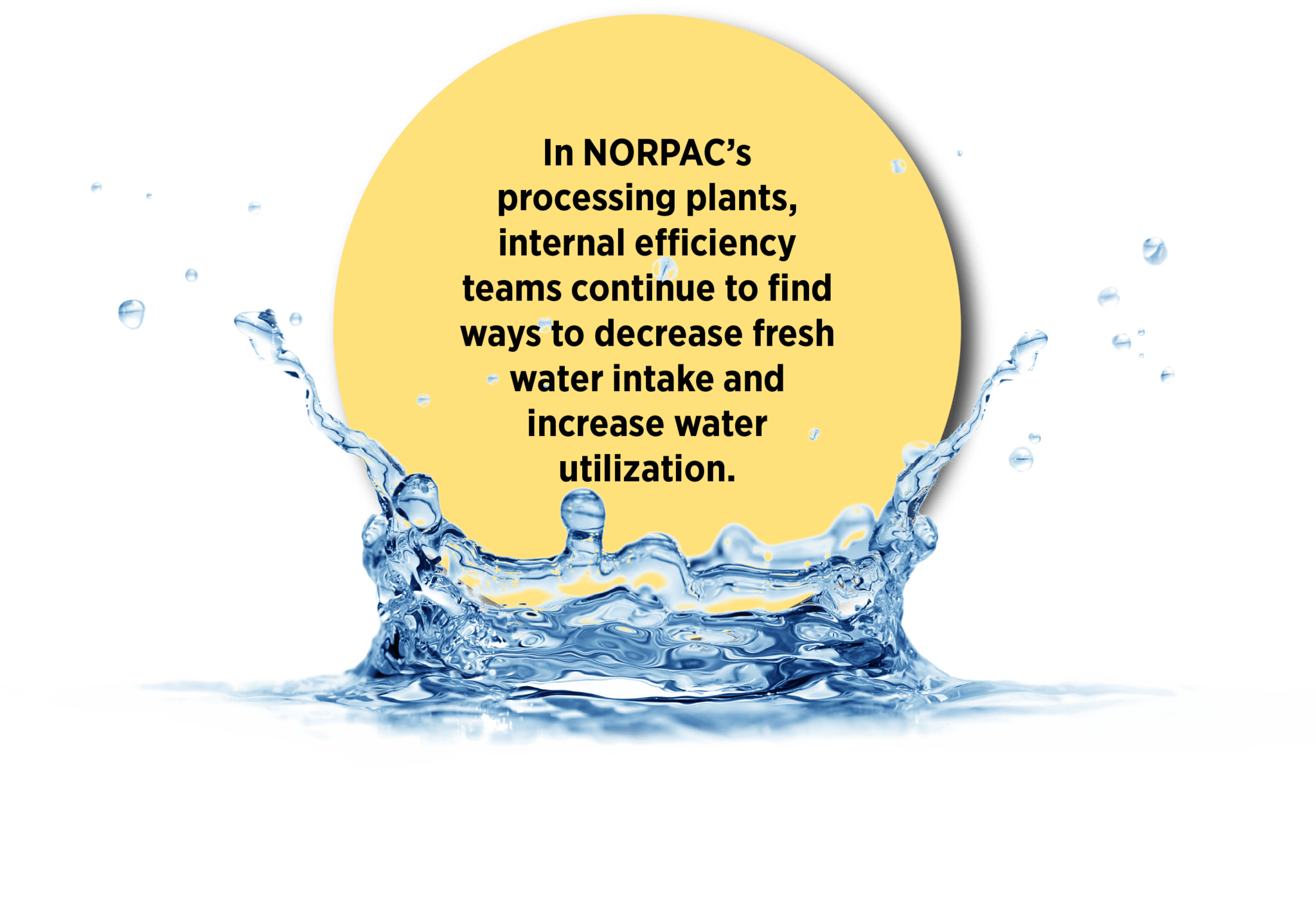 protect-and-conserve-water-resources-norpac